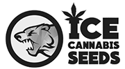 IceCannabisSeeds Logo